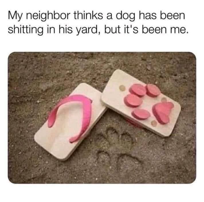 Neighbour dog