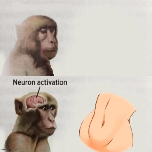 16046075869860