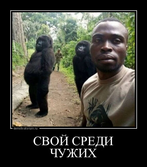 demotivatorium_ru_svoj_sredi_chujih_173138_0.jpg