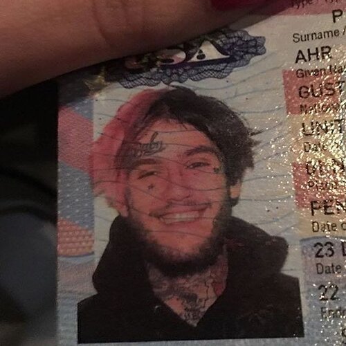 31ce776e1f3d552060443689687233e9