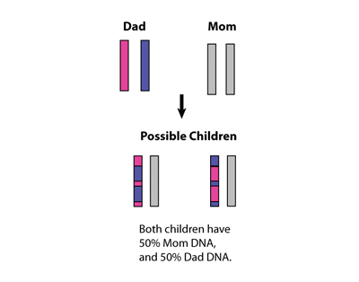 Image2 recombination