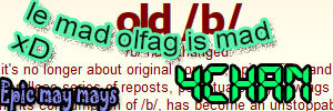 203.jpg