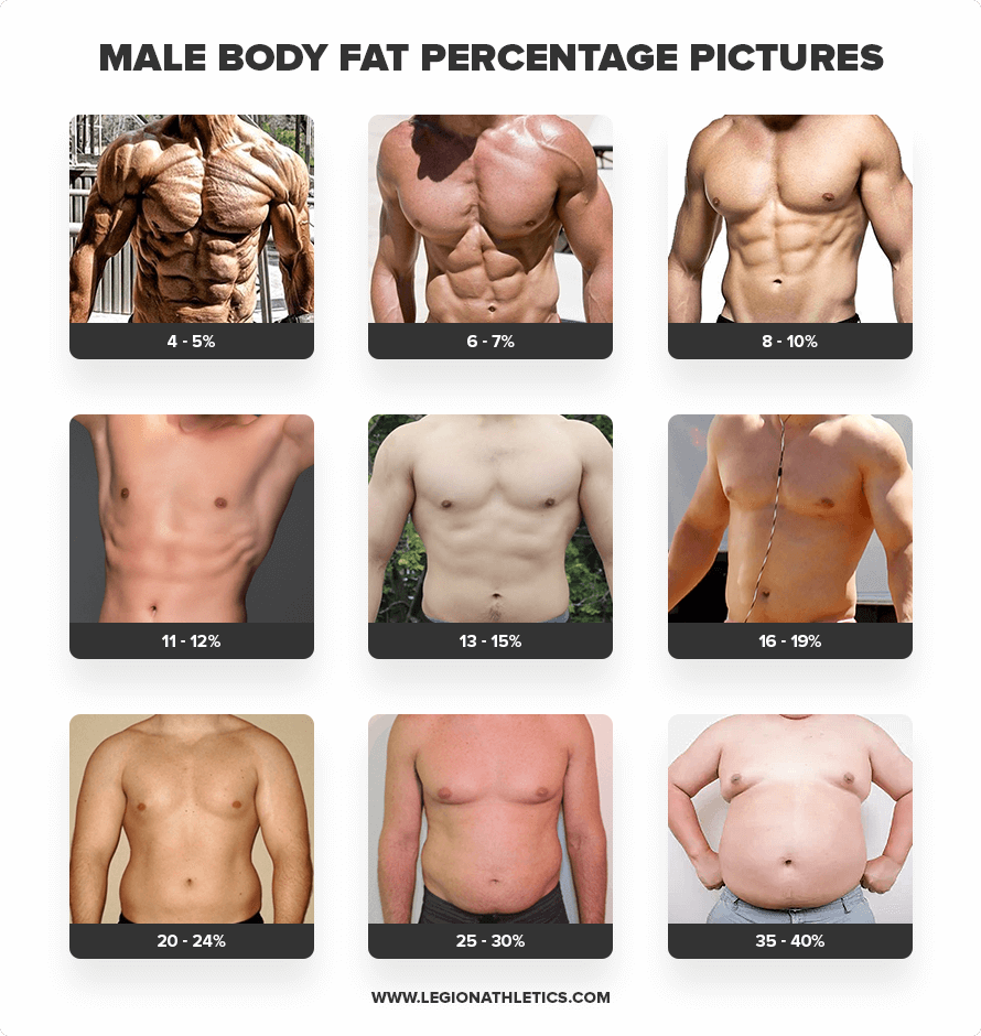 Male Body Fat Percentage Pictures