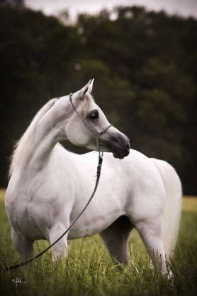 C56999a5f7529fd4fde96830049fc386