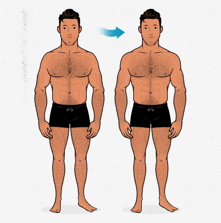 How to build broader shoulders transformation illustration 768x773