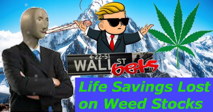 Yolo