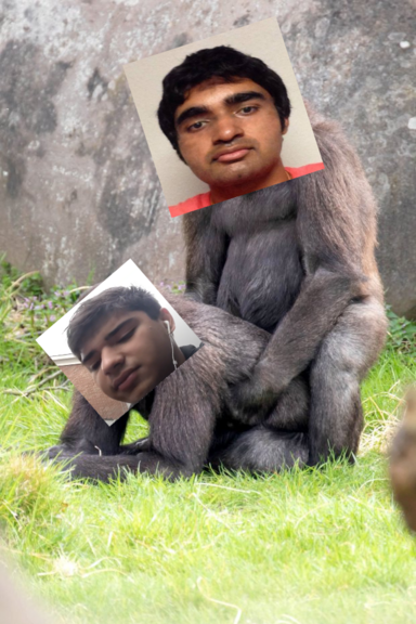 Whiteissuperiorprofilepicture