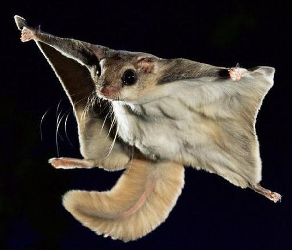 B16a8c7b49f55fd01dd3142c4b4e01d5