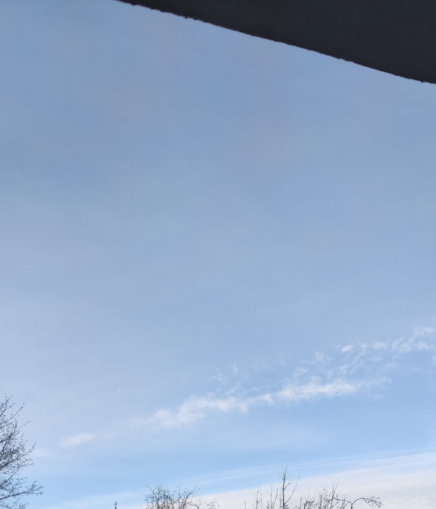 IMG 20210204 095641