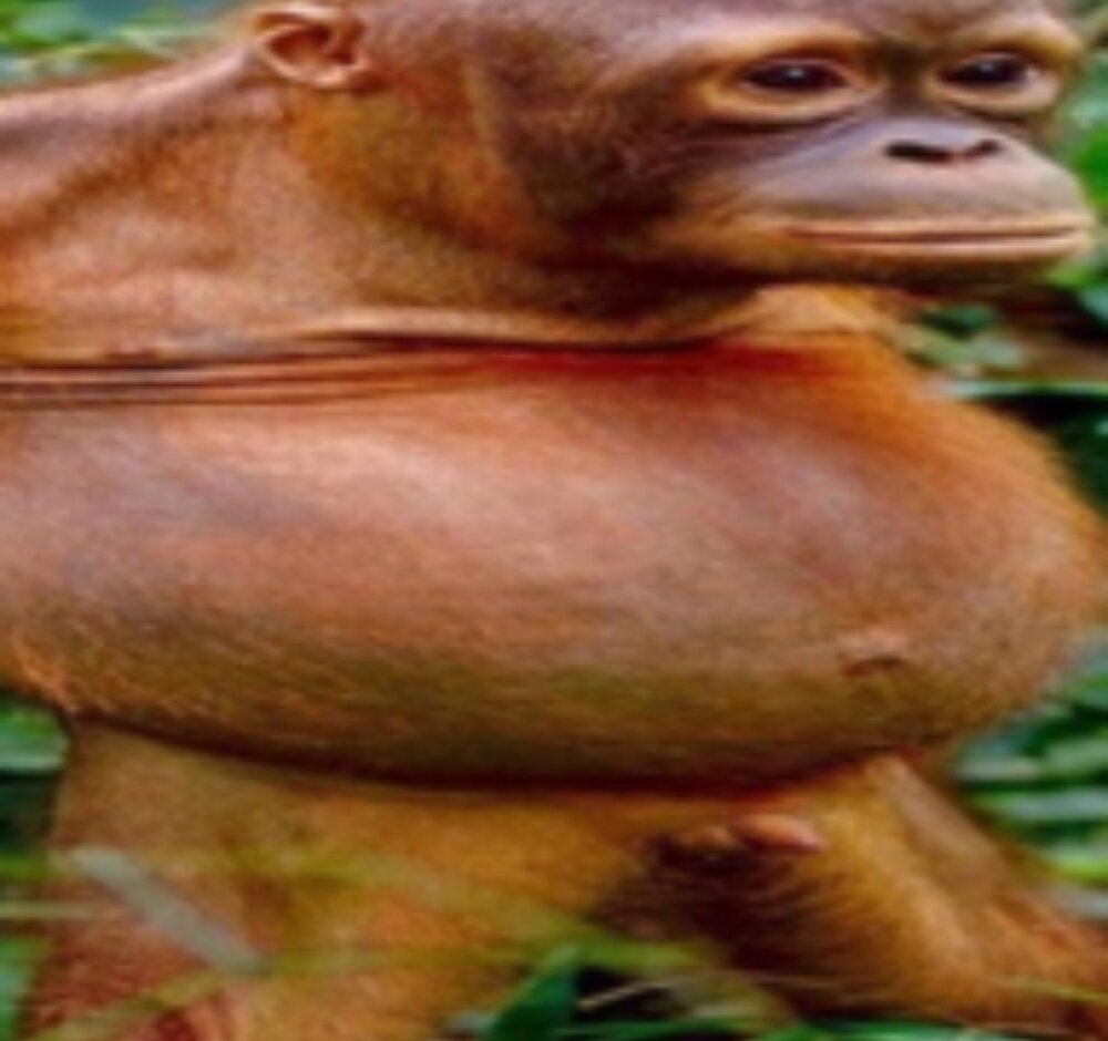 Screenshot 20210204 163504