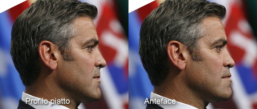 52840279 363455124243842 6663175184561733632 o