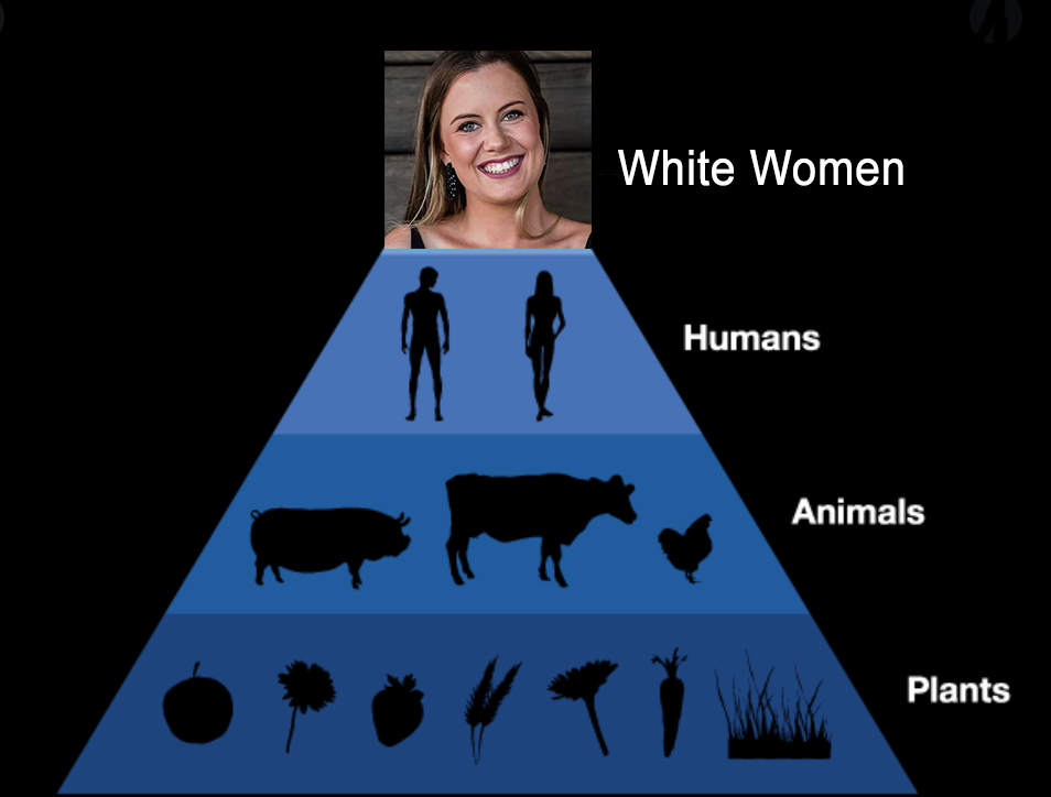 Captura de Tela 2021 02 04 as 140100