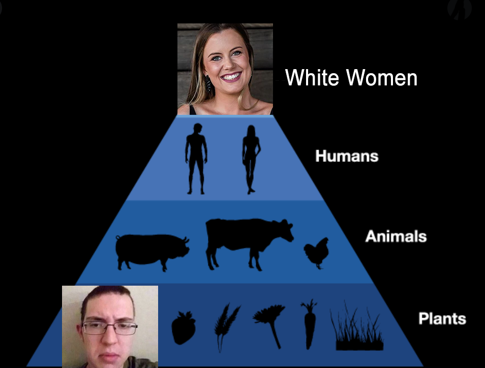 Captura de Tela 2021 02 04 s 140100