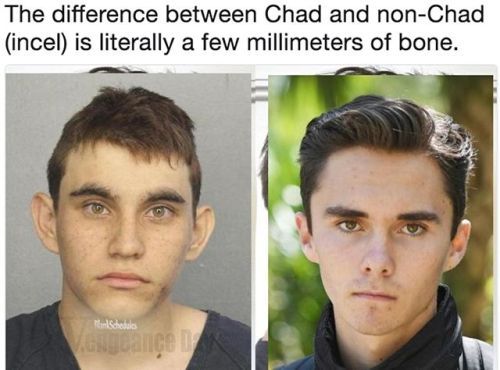 Dc7921a62b148ed86176656e0e835807