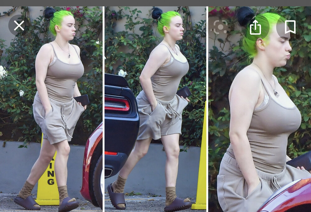 9E5B25E4 3E6E 4CFD AF49 871AA2D66355