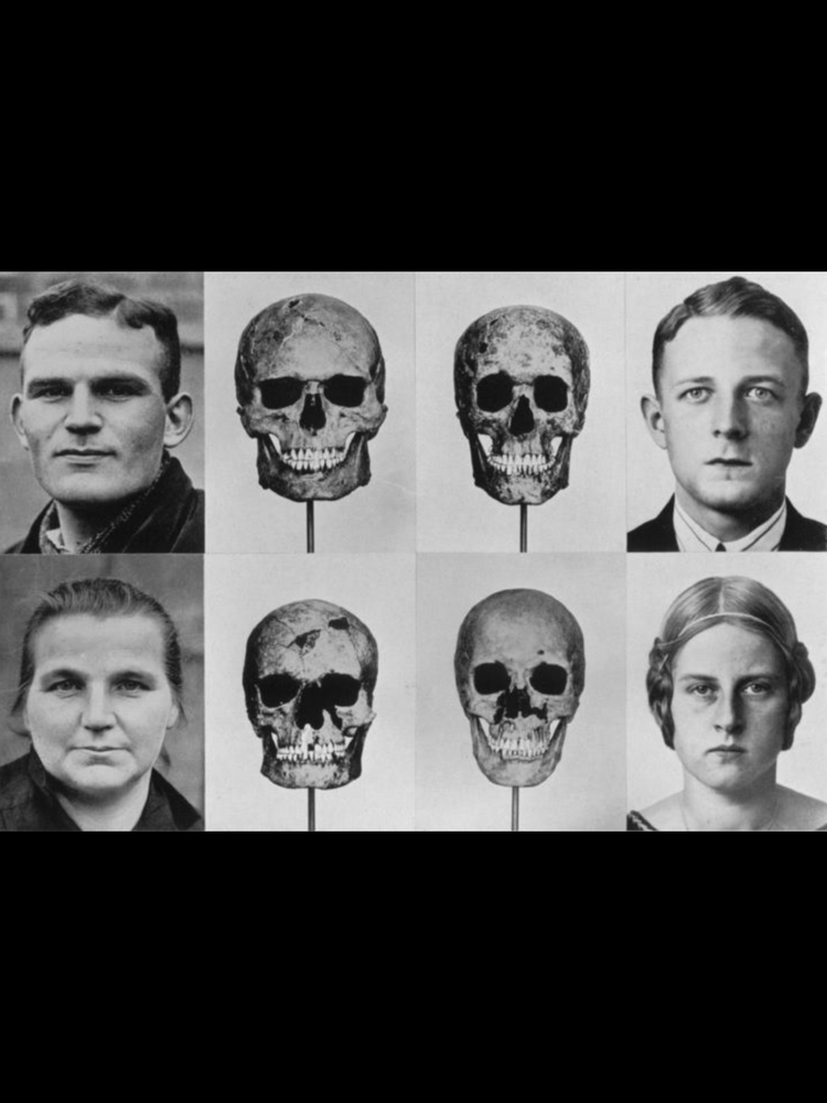 B1739230 0C52 4920 8FED 84E97B8DF531