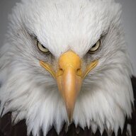 10089