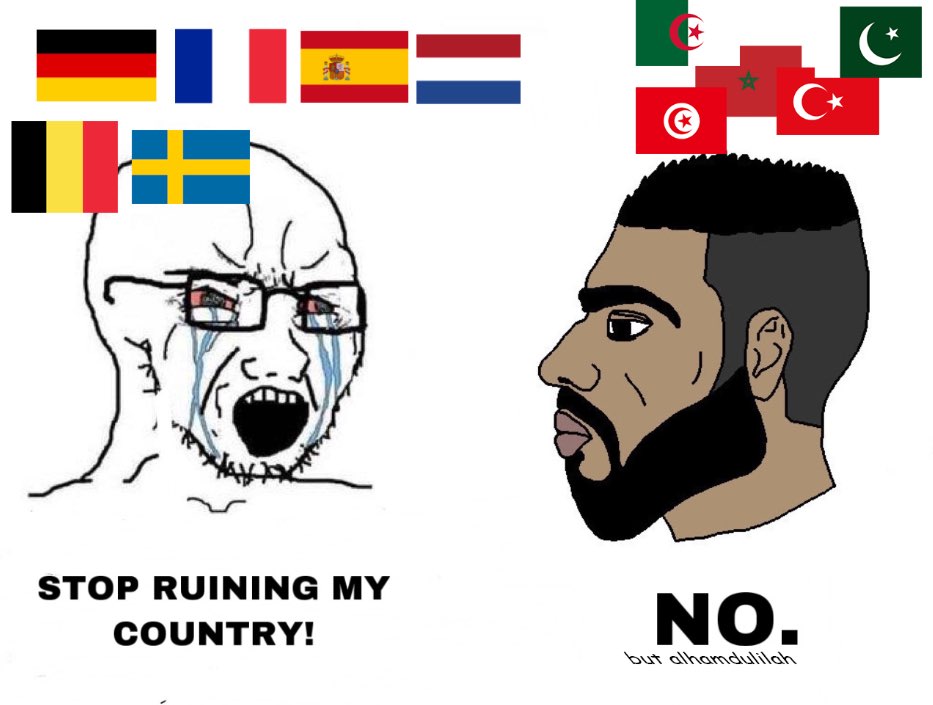 DD7C8164 864A 434B BA78 90AD87D4A948