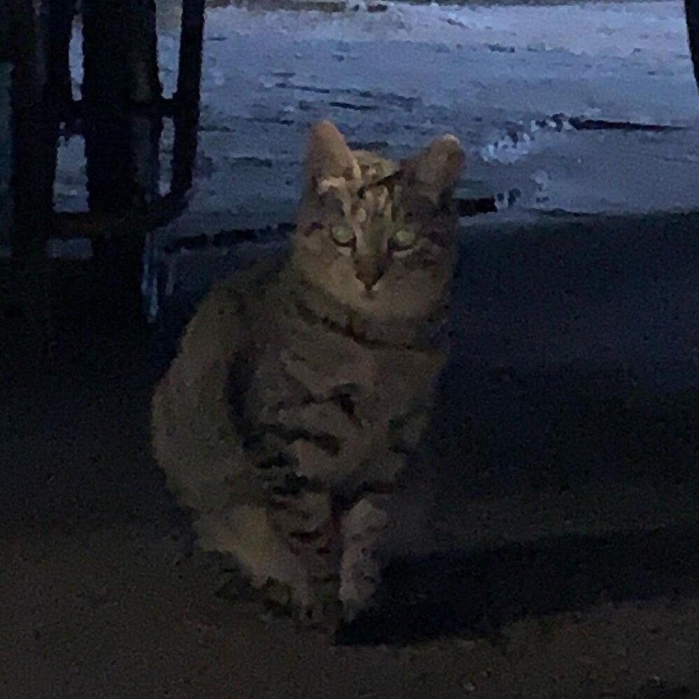 Sooviin38    CIOCz hnFks    6