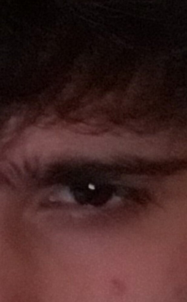 Screenshot 20210205 152804 Gallery