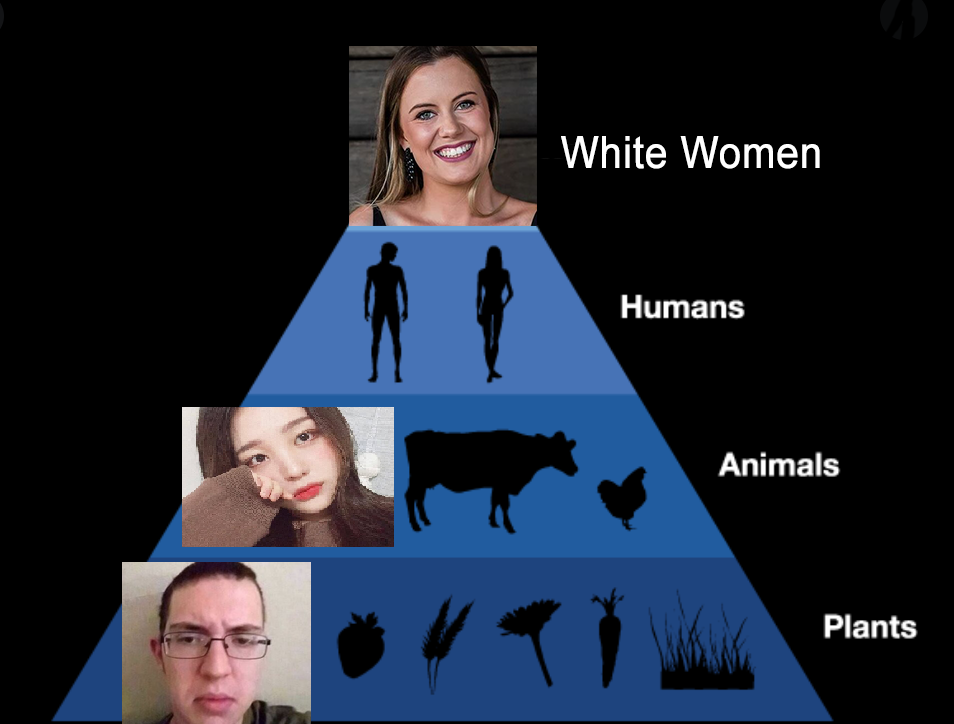 Captura de Tela 2021 02 04 s 140100