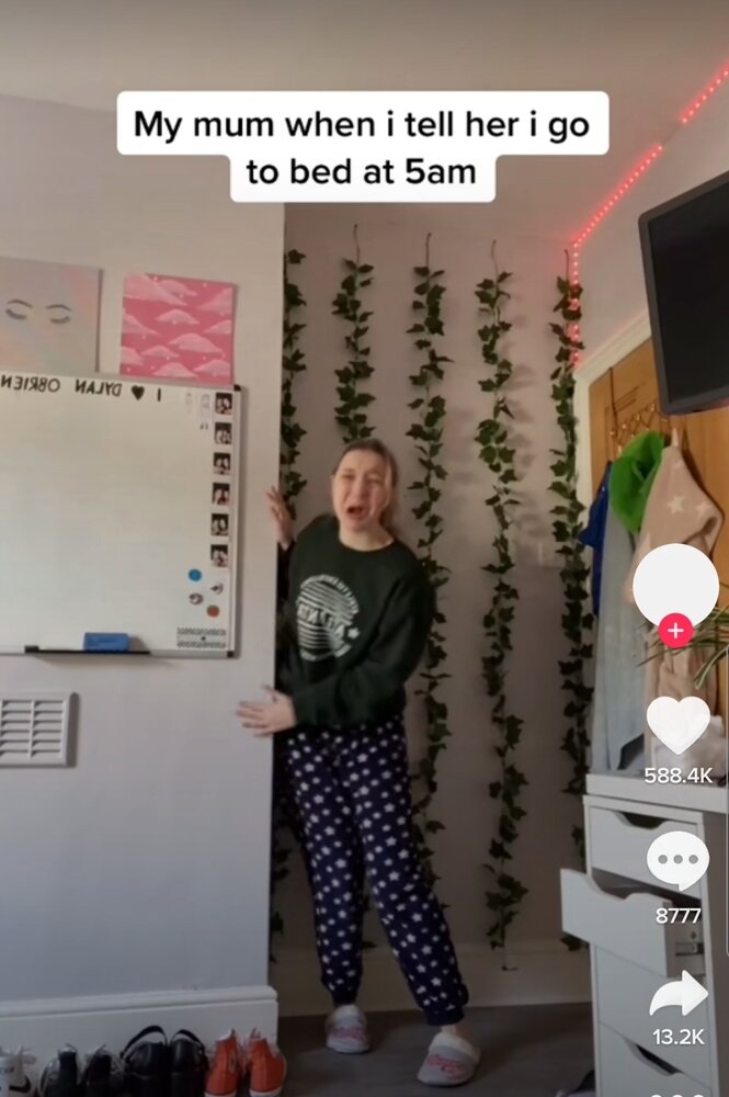 SmartSelect 20210206 001741 TikTok
