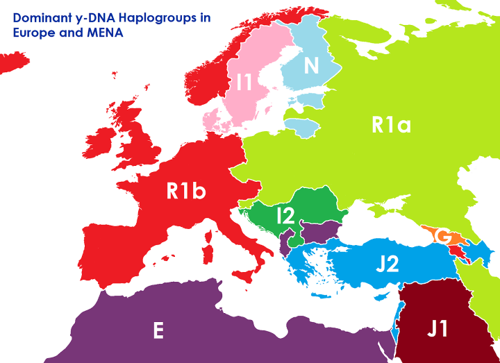DNA borders