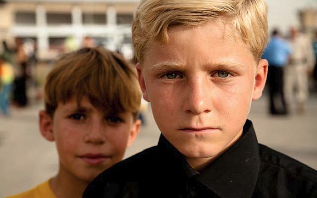 B5732733e3e83c1d45bd1d4b302bd98c