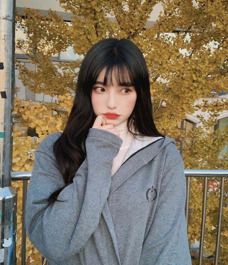 A36a40e5e207e69c6e3c08a57d3ff11e