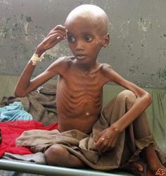 5def63e92068eeac6e6c4be91ce1c625  emergency food african history