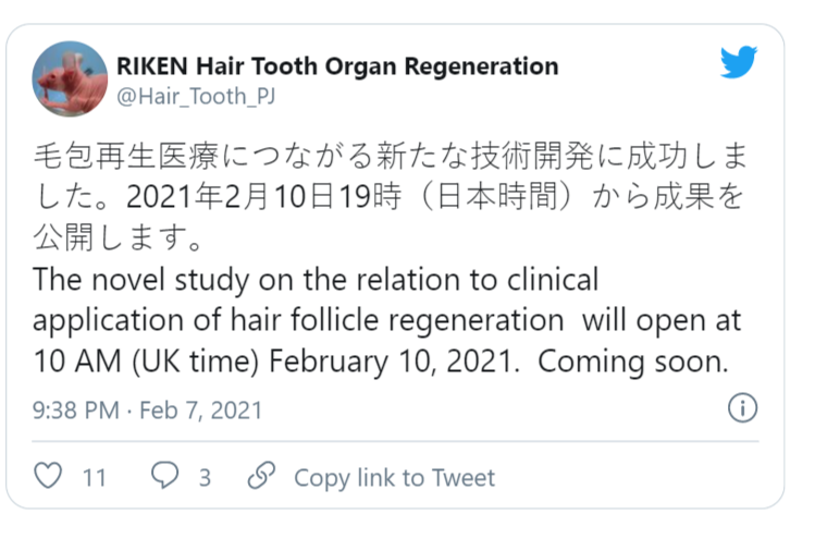 1612802953936