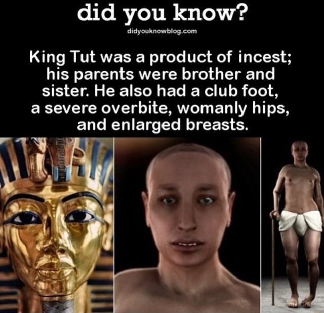 E7259860 4D18 4A98 96DA 5DDF9B0FEC74