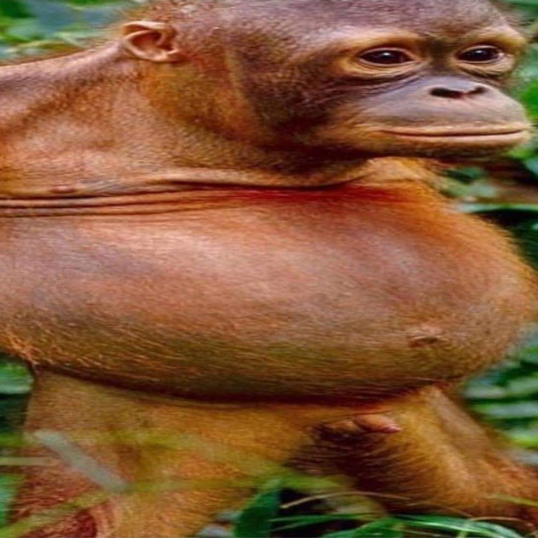 05B227E4 DF36 4D34 A0B6 73E68F715093