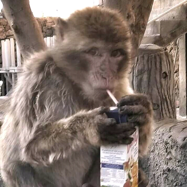 FB IMG 16130607469216581