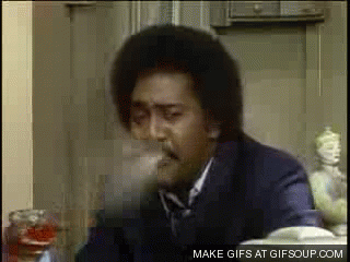 WideImaginativeBull small