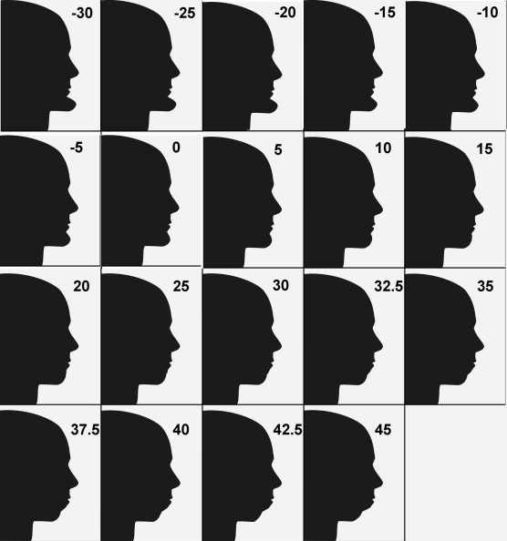 806C43DD D083 4E68 A842 F81F475BF92B