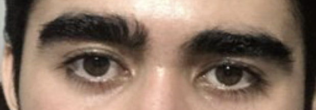 4C4D0E33 CCD1 44FA AF1C EC07E463EBD2