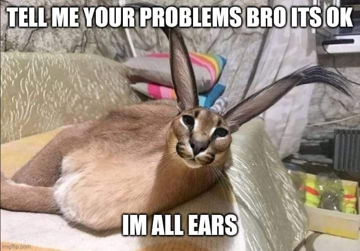 FB IMG 1613126238272