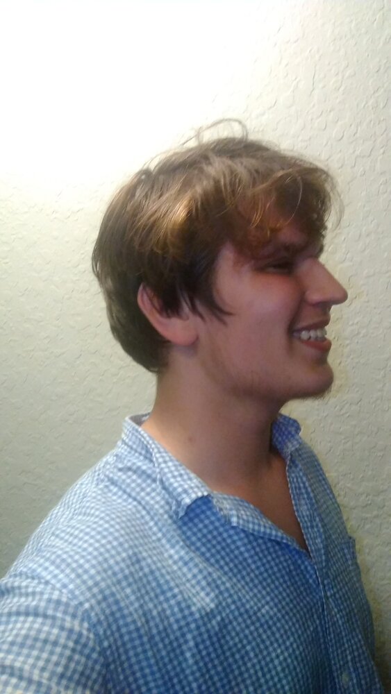 Average chris voter