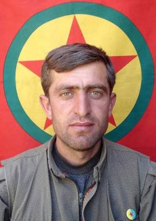 Roboust iranid 1331018