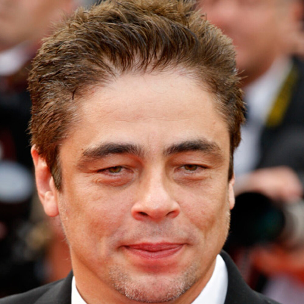 Benicio del toro 9542386 2 402