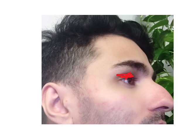 1613239546562