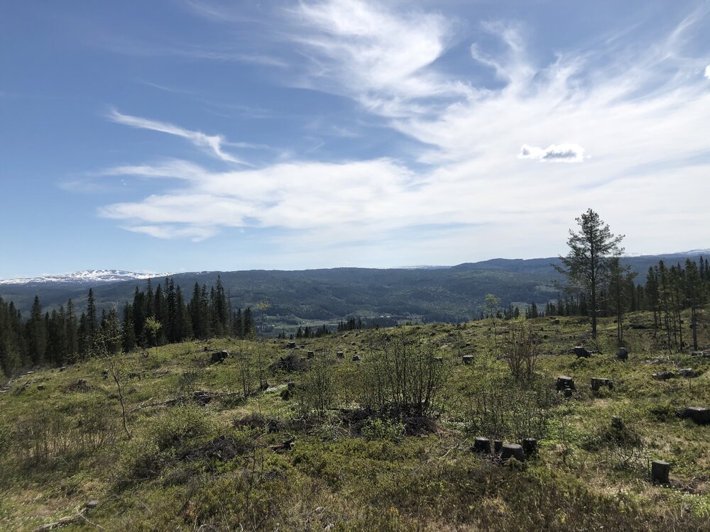 95F1AB18 8197 4D2B B265 F758B8450F55