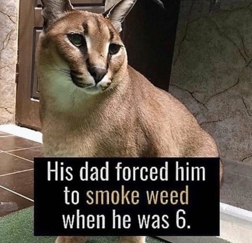 DB8B351D 8261 4E1F 81EC B894BF5D0AC1