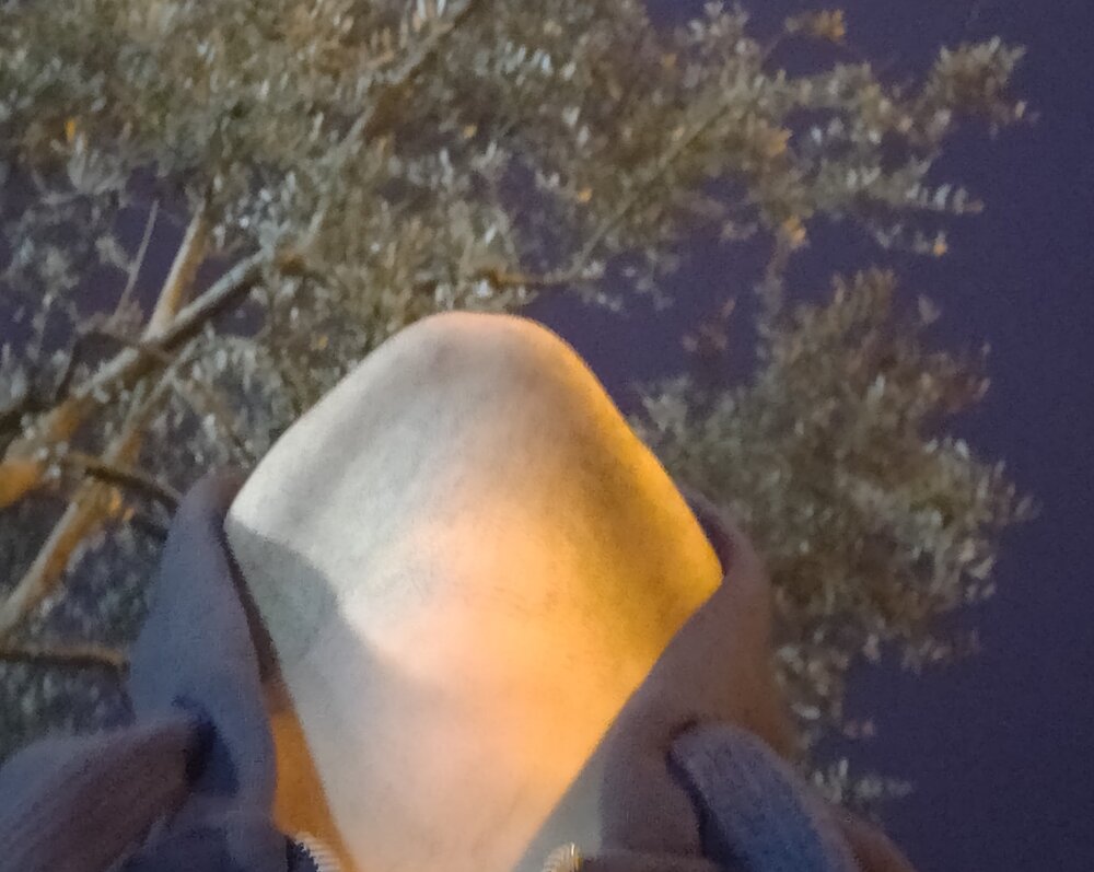 IMG 20210213 175532  01