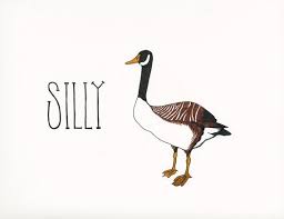 Image result for silly goose