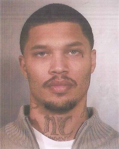 Meeks2009