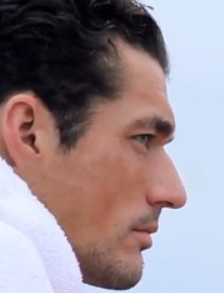 Gandy