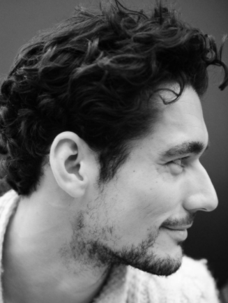 Gandy2