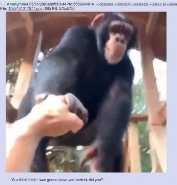 1613355490087